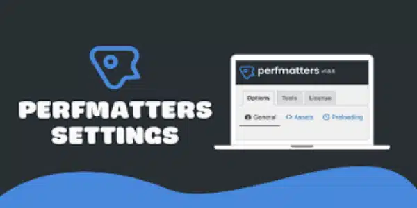 perfmatters-pro