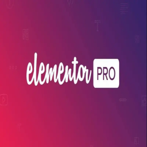 elementor-pro